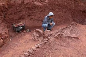 《探秘游戏中获得妄想山海肋部化石的绝佳方法》（化石寻觅者的最佳指南）