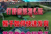 王者荣耀中猴子角色的正确玩法是什么？技巧有哪些？