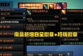 地下城黑色小晶块怎么使用？小晶块在制作装备时的作用是什么？