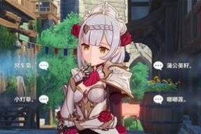 《原神诺艾尔邀约收藏品获取攻略》（玩转诺艾尔邀约）