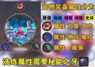 DNF宠物的作用是什么？如何最大化宠物的效益？