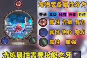 DNF宠物的作用是什么？如何最大化宠物的效益？