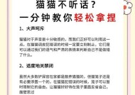 驯服的方法和技巧有哪些？