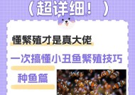 在《我的世界》中如何正确饲养小丑鱼？