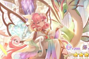 公主连结情姐卡rank详解——提升你的游戏实力（以游戏为主）