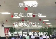 魔域启程灵猫自选箱的获取方法是什么？有什么用处？