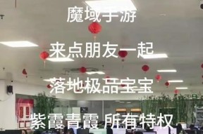 魔域启程灵猫自选箱的获取方法是什么？有什么用处？