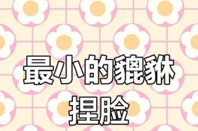游戏攻略（掌握捏脸技巧）