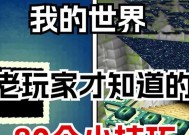 在《我的世界》中生存的技巧有哪些？