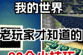 在《我的世界》中生存的技巧有哪些？