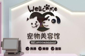 掌握小森生活美容券的使用技巧，让你在游戏中更加美丽（让你的角色焕然一新）