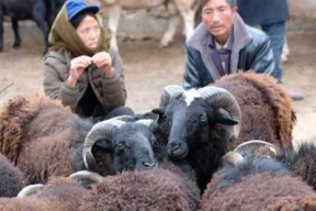 《废土3地下集市攻略》（游戏中如何进入地下集市）