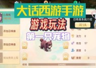 大话西游手游宠物突破升级方法是什么？