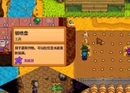 星露谷物语（揭秘莉亚夏季的隐藏地点和活动）