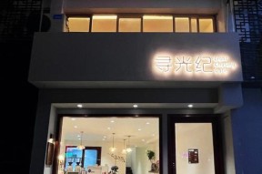 如何选择寻光者物语最强宠物（打造无敌阵容）