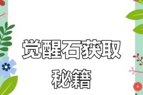 觉醒石获取方法是什么？极速版中如何使用觉醒石？