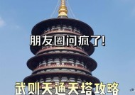皇家塔的正确使用方法是什么？使用中有哪些技巧？