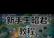 王者荣耀王昭君玩法技巧有哪些？王昭君的技能如何搭配使用？