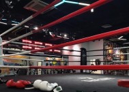 绝地求生拳击馆（以游戏为主）