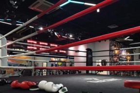 绝地求生拳击馆（以游戏为主）