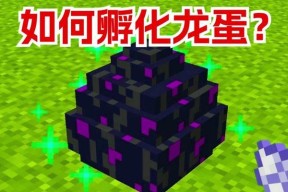 我的世界中龙蛋的孵化方法是什么？