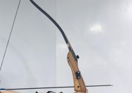 弓箭手大作战（射击之道）