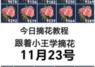 王者荣耀中如何摘取花花？
