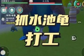 《以创造与魔法》快速升级宠物攻略（养成最强宠物）