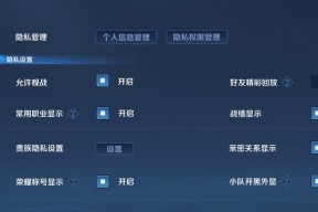 怎么不进王者荣耀看战绩？查看战绩的替代方法是什么？