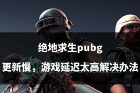 绝地求生成功激活后如何进行游戏？激活后有哪些注意事项？