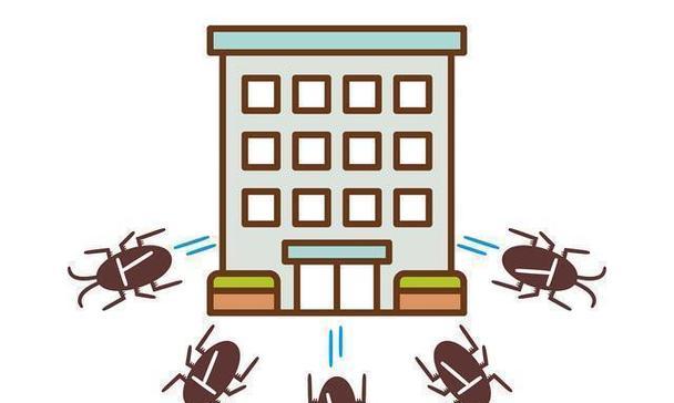 拼不过害虫（用游戏轻松学习防虫技巧）  第2张