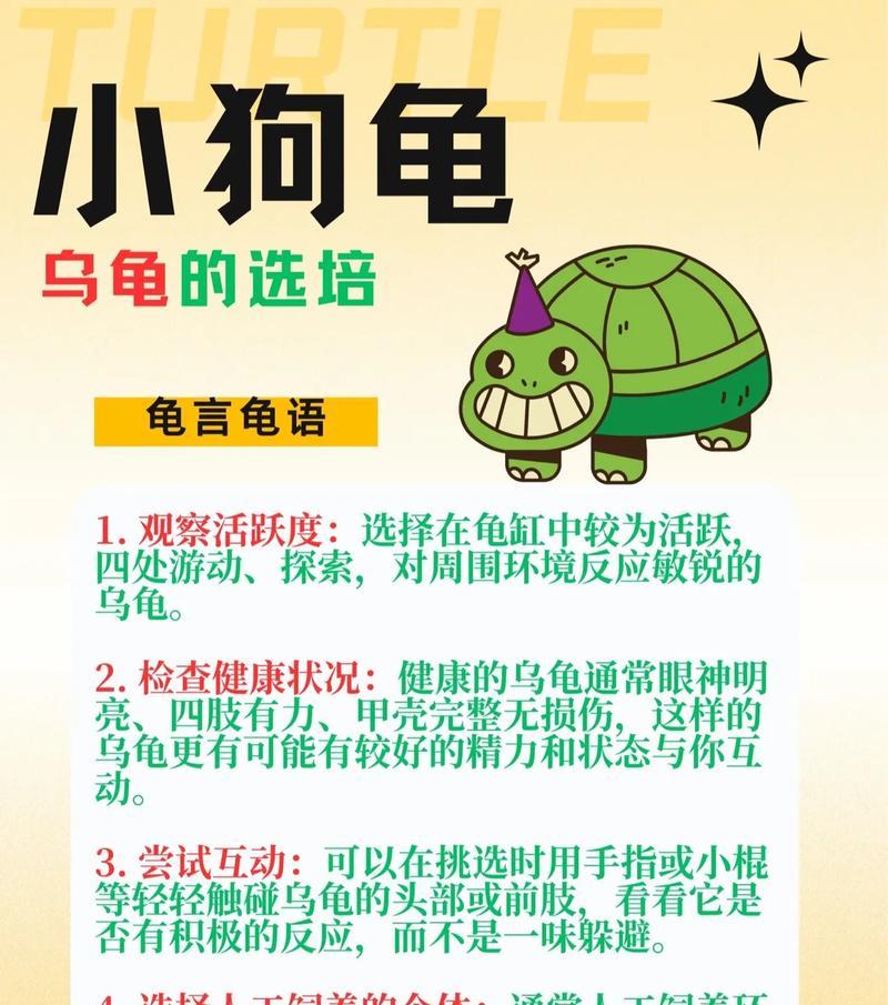 乌龟服风蛇远程攻击的方法是什么？  第1张