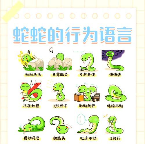 乌龟服风蛇远程攻击的方法是什么？  第2张
