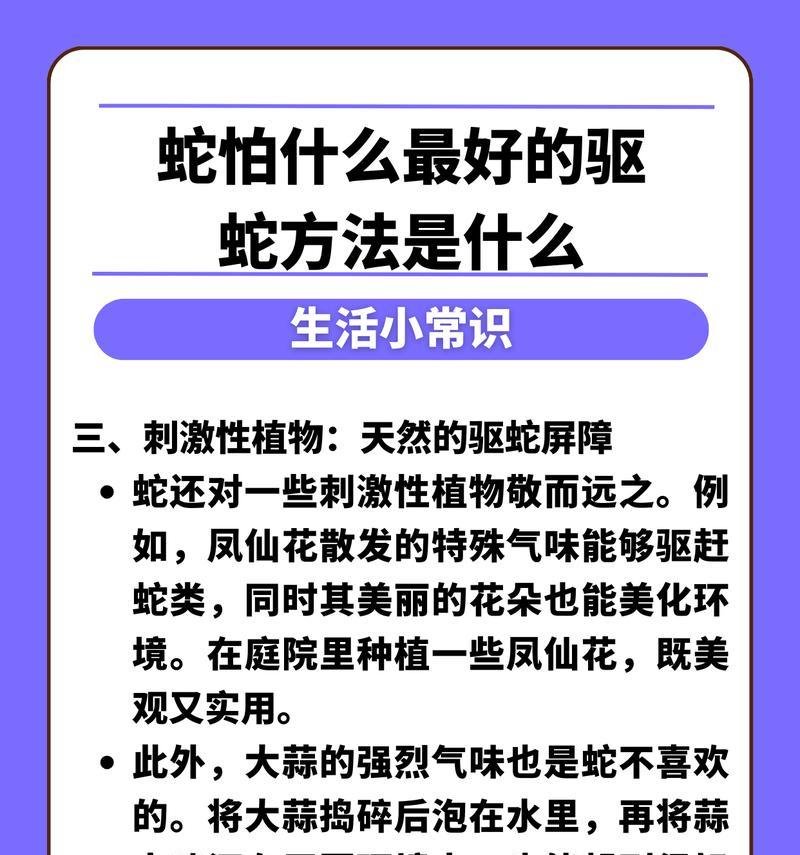 乌龟服风蛇远程攻击的方法是什么？  第3张