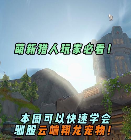 魔兽世界宠物如何快速升级？有哪些高效的升级方法？  第3张