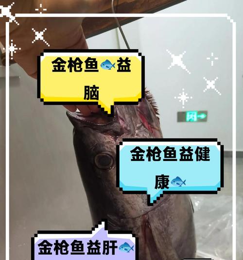 DNF中的金枪鱼是什么？金枪鱼有什么用途？  第2张