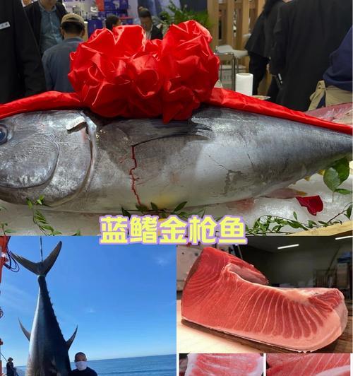 DNF中的金枪鱼是什么？金枪鱼有什么用途？  第3张