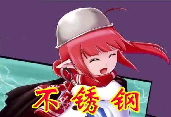 dnf不锈钢家族具体指什么？  第2张
