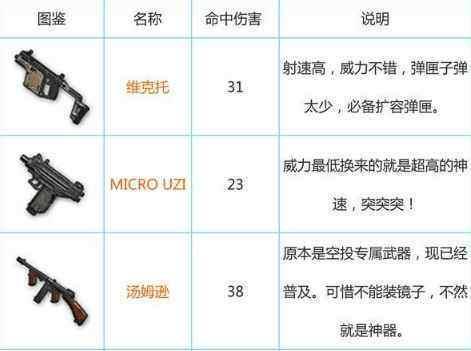 聋哑人在绝地求生中如何沟通？有哪些辅助工具？  第2张
