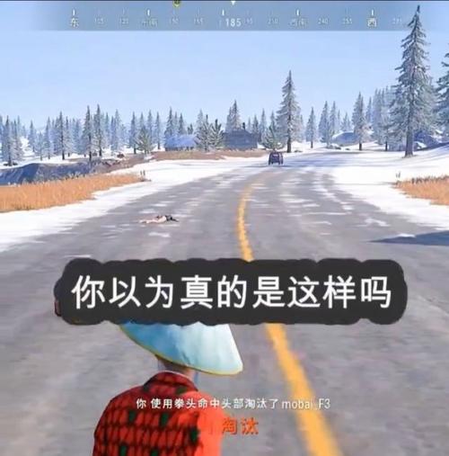 绝地求生中瞬移拳王使用技巧有哪些？  第3张