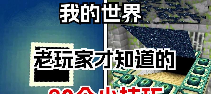 在《我的世界》中生存的技巧有哪些？  第1张