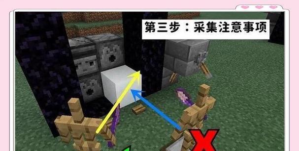 在《我的世界》中如何捕捉并使用方块？  第2张