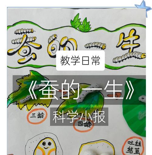 我的世界中养蚕的方法是什么？  第2张