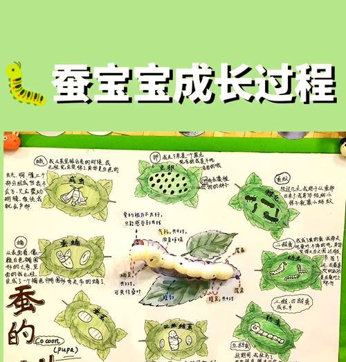 我的世界中养蚕的方法是什么？  第3张