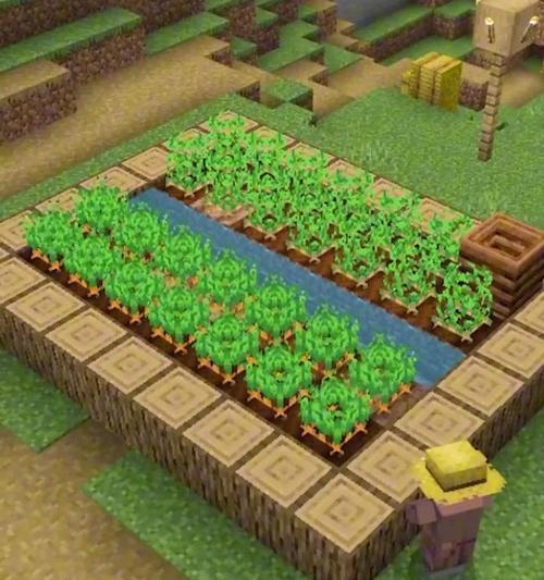在Minecraft中如何种植农田？种植步骤有哪些？  第2张