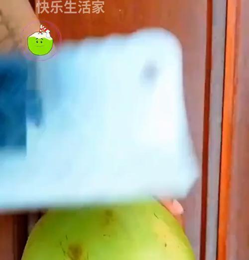 我的世界中椰子的正确切法是什么？  第2张