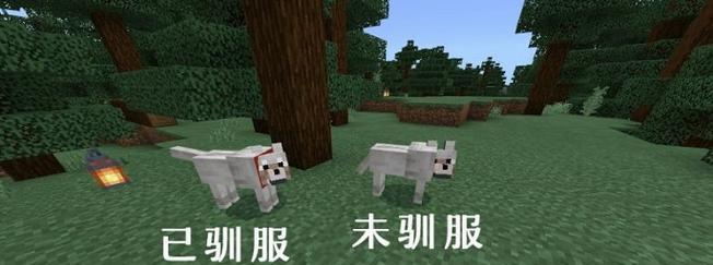 我的世界手机版驯服狼的方法是什么？  第2张
