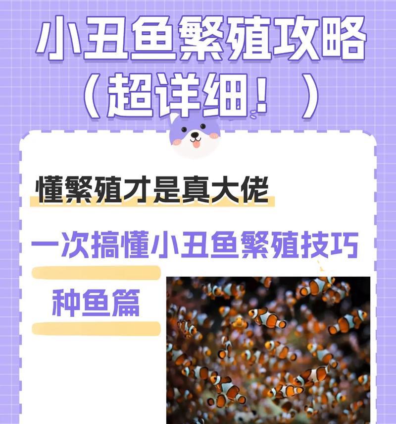 在《我的世界》中如何正确饲养小丑鱼？  第1张