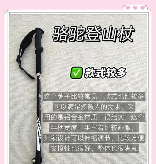 《异化之地》游戏噩运手杖的神秘力量（探索游戏中噩运手杖的特殊能力与效果）  第2张
