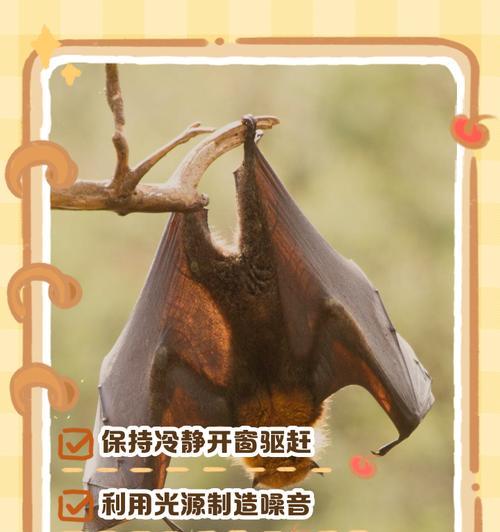人马蝙蝠的获取方法是什么？  第1张